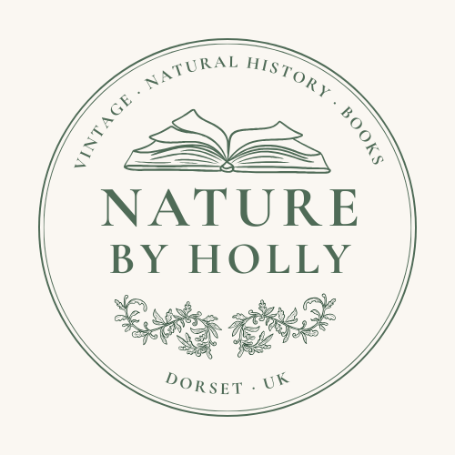 NaturebyHolly